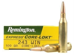 Balas Remington C.243W. 100gr Core-lokt  r243w3