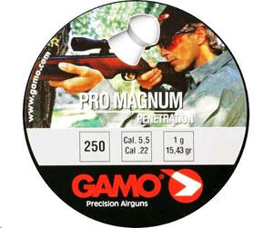 Balines Gamo Pro Magnum 5.5 X 250